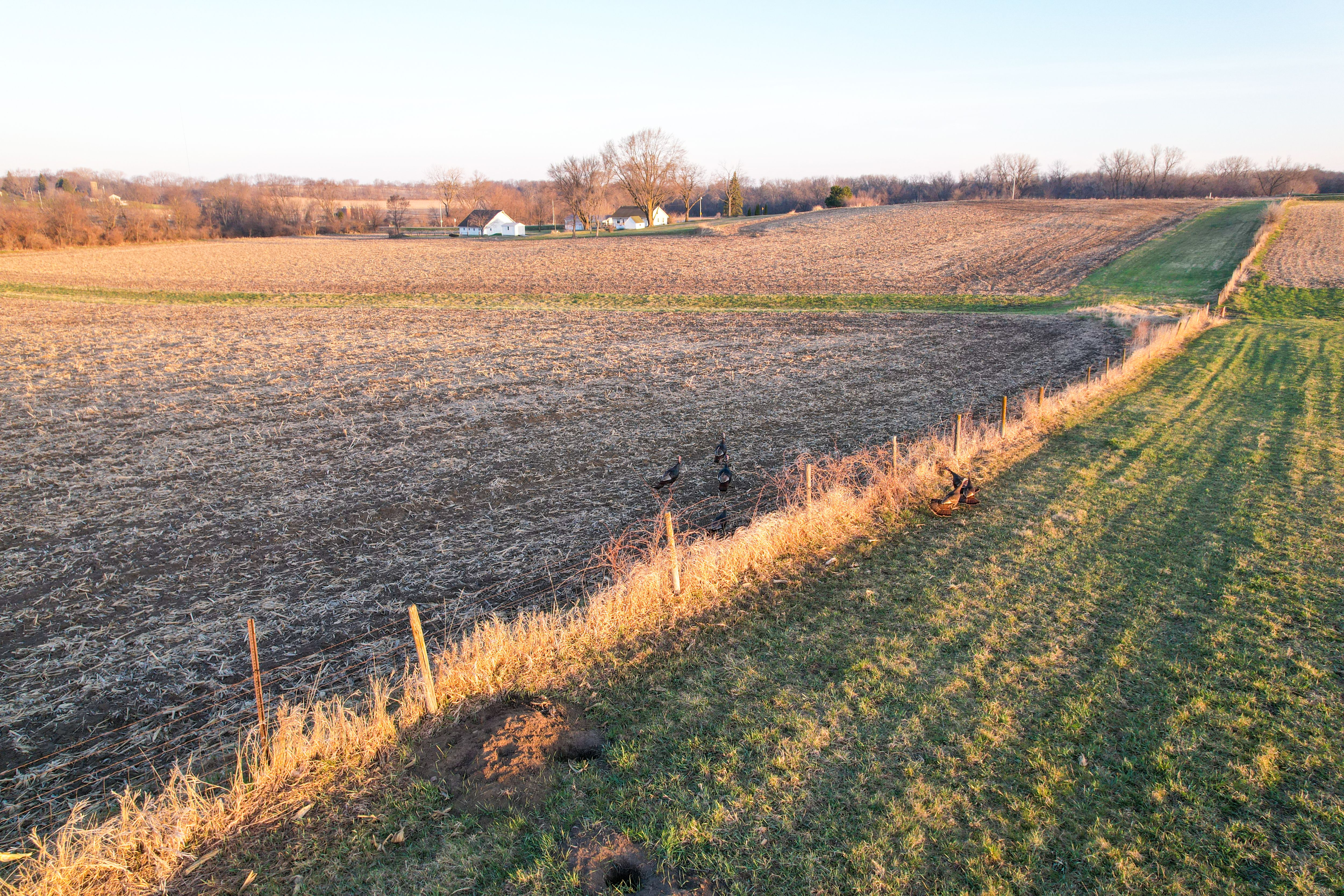 Listing Photo: Photo Mar 30 2026, 7 25 40 AM